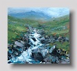 inverhaggernie burn 3     oil on canvas  50 x 47cm